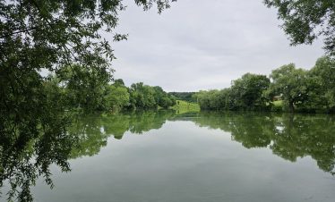 ясная поляна3